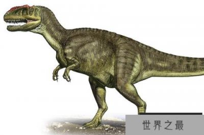 ​肌肉龙：原始阿贝力龙科恐龙（长6-8米/中型食肉恐龙）
